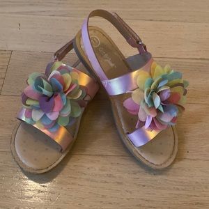 Cat and Jack sandals multicolored